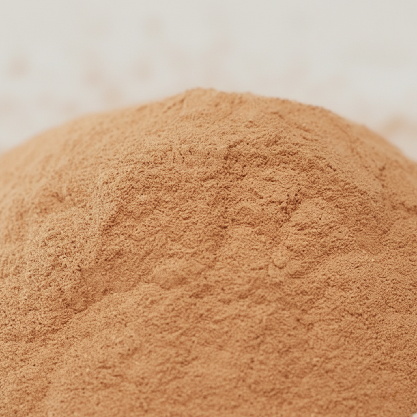 Cork Powder